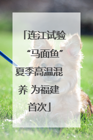 连江试验“马面鱼”夏季高温混养 为福建首次