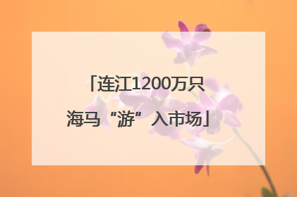 连江1200万只海马“游”入市场