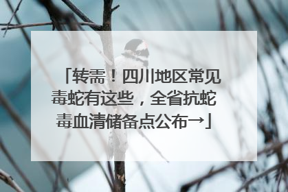 转需！四川地区常见毒蛇有这些，全省抗蛇毒血清储备点公布→