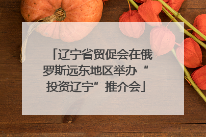 辽宁省贸促会在俄罗斯远东地区举办“投资辽宁”推介会