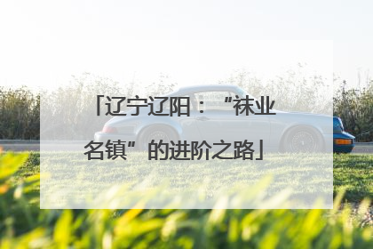 辽宁辽阳：“袜业名镇”的进阶之路