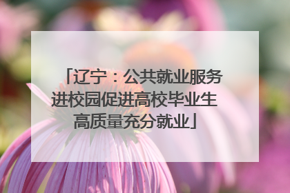 辽宁：公共就业服务进校园促进高校毕业生高质量充分就业