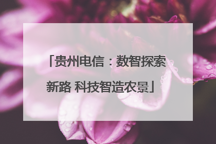 贵州电信：数智探索新路 科技智造农景