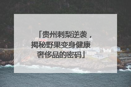 贵州刺梨逆袭，揭秘野果变身健康奢侈品的密码
