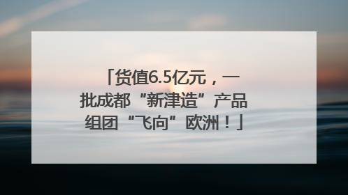 货值6.5亿元，一批成都“新津造”产品组团“飞向”欧洲！