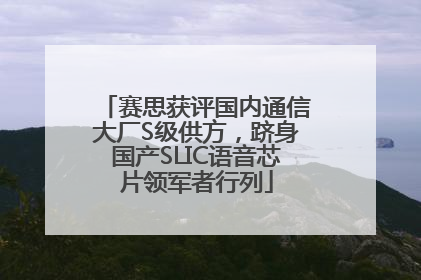 赛思获评国内通信大厂S级供方，跻身国产SLIC语音芯片领军者行列