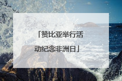 赞比亚举行活动纪念非洲日