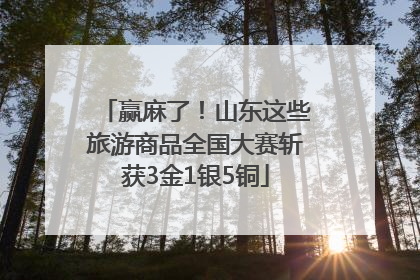 赢麻了！山东这些旅游商品全国大赛斩获3金1银5铜