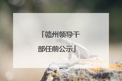 赣州领导干部任前公示