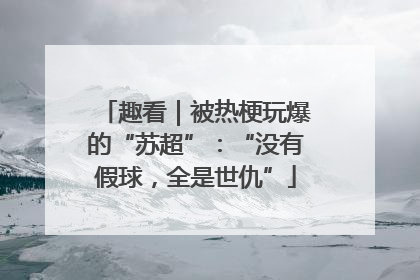 趣看|被热梗玩爆的“苏超”:“没有假球,全是世仇”