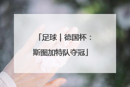 足球｜德国杯：斯图加特队夺冠