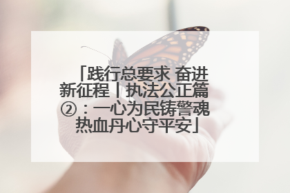 践行总要求 奋进新征程丨执法公正篇②：一心为民铸警魂 热血丹心守平安