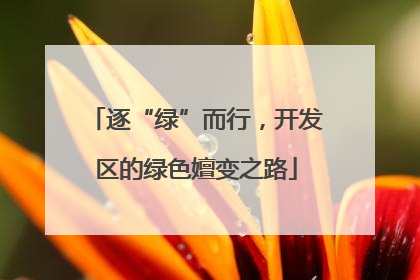 逐“绿”而行，开发区的绿色嬗变之路