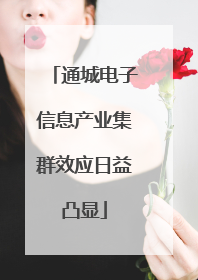 通城电子信息产业集群效应日益凸显