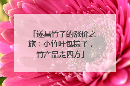 遂昌竹子的涨价之旅：小竹叶包粽子，竹产品走四方