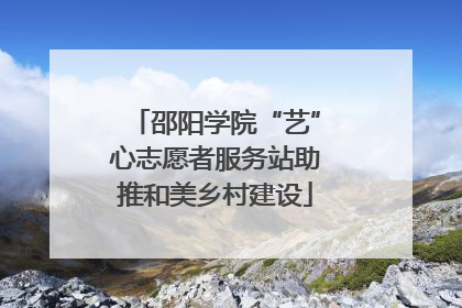 邵阳学院“艺”心志愿者服务站助推和美乡村建设