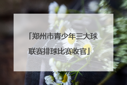 郑州市青少年三大球联赛排球比赛收官