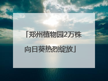 郑州植物园2万株向日葵热烈绽放