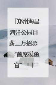 郑州海昌海洋公园月薪三万招募“首席摸鱼官”！