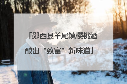 郧西县羊尾镇樱桃酒酿出“致富”新味道