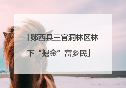 郧西县三官洞林区林下“掘金”富乡民