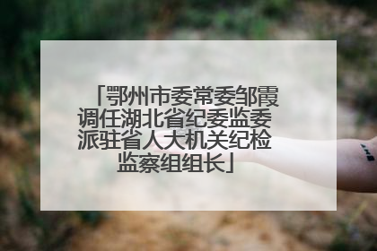 鄂州市委常委邹霞调任湖北省纪委监委派驻省人大机关纪检监察组组长