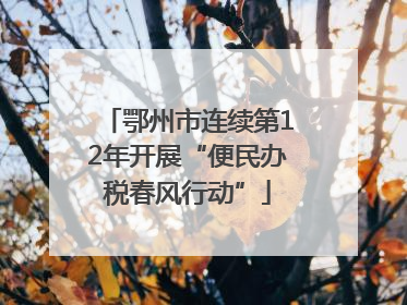 鄂州市连续第12年开展“便民办税春风行动”