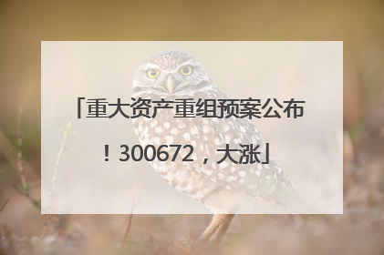 重大资产重组预案公布！300672，大涨