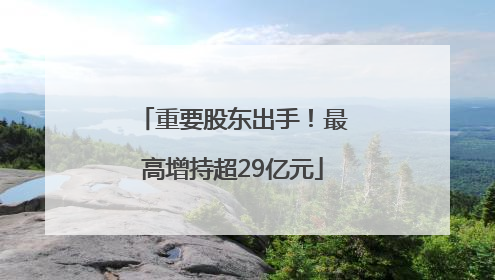 重要股东出手！最高增持超29亿元