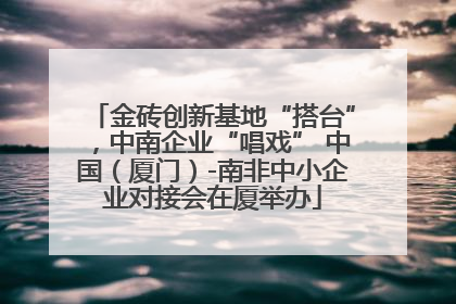 金砖创新基地“搭台”，中南企业“唱戏” 中国（厦门）-南非中小企业对接会在厦举办