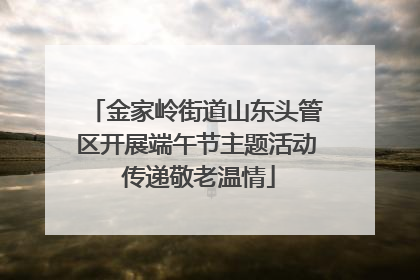 金家岭街道山东头管区开展端午节主题活动 传递敬老温情