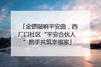 金锣敲响平安曲，西厂口社区“平安合伙人”携手共筑幸福家