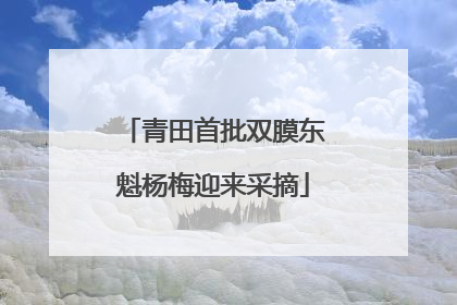 青田首批双膜东魁杨梅迎来采摘