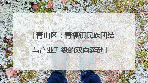 青山区：青福镇民族团结与产业升级的双向奔赴
