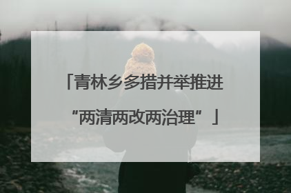 青林乡多措并举推进“两清两改两治理”