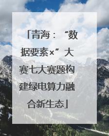 青海：“数据要素×”大赛七大赛题构建绿电算力融合新生态