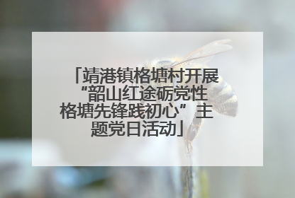 靖港镇格塘村开展“韶山红途砺党性 格塘先锋践初心”主题党日活动