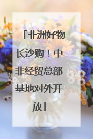 非洲好物长沙购！中非经贸总部基地对外开放