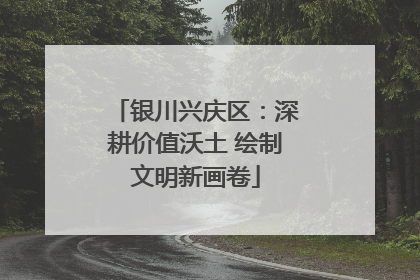 银川兴庆区：深耕价值沃土 绘制文明新画卷