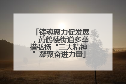 铸魂聚力促发展，黄鹤楼街道多举措弘扬“三大精神”凝聚奋进力量