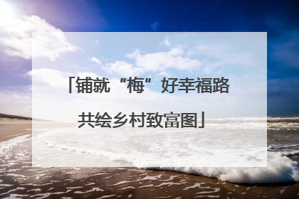 铺就“梅”好幸福路 共绘乡村致富图