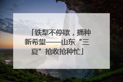 铁犁不停歇，播种新希望——山东“三夏”抢收抢种忙