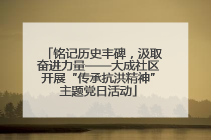 铭记历史丰碑，汲取奋进力量——大成社区开展“传承抗洪精神”主题党日活动
