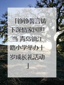 铮铮誓言铸下深情家国担当 青岛镇江路小学举办十岁成长礼活动