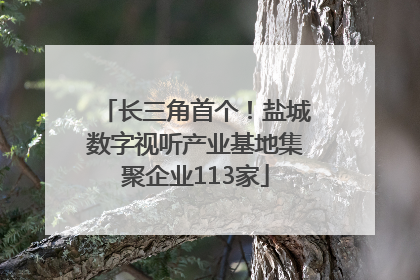 长三角首个！盐城数字视听产业基地集聚企业113家