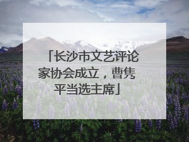 长沙市文艺评论家协会成立，曹隽平当选主席