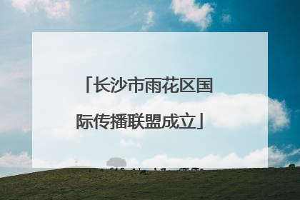 长沙市雨花区国际传播联盟成立