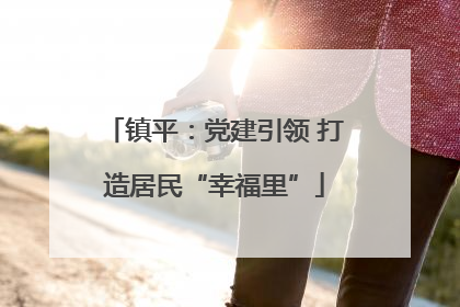 镇平：党建引领 打造居民“幸福里”