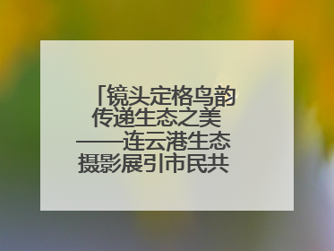 镜头定格鸟韵 传递生态之美——连云港生态摄影展引市民共赏自然之魅