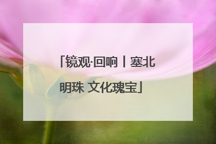 镜观·回响丨塞北明珠 文化瑰宝